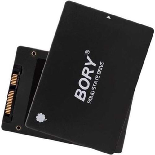 SSD BORY R500-C256G 2.5